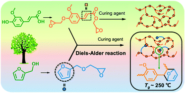 Graphical abstract: High-performance bio-based epoxies from ferulic acid and furfuryl alcohol: synthesis and properties