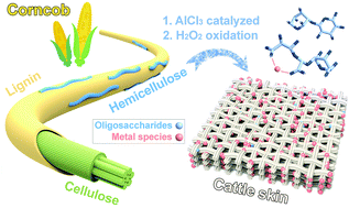 Graphical abstract: On the development of chrome-free tanning agents: an advanced Trojan horse strategy using ‘Al–Zr-oligosaccharides’ produced by the depolymerization and oxidation of biomass