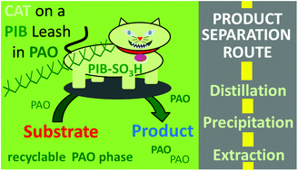 Graphical abstract: Fully recyclable Brønsted acid catalyst systems