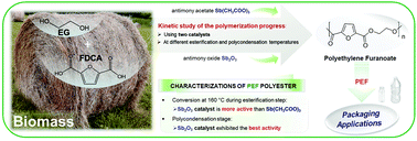 Graphical abstract: Investigation of the catalytic activity and reaction kinetic modeling of two antimony catalysts in the synthesis of poly(ethylene furanoate)