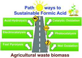 Graphical abstract: Critical assessment of reaction pathways for conversion of agricultural waste biomass into formic acid