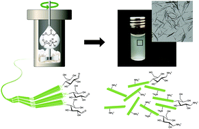 Graphical abstract: One-step method for the preparation of cationic nanocellulose in reactive eutectic media