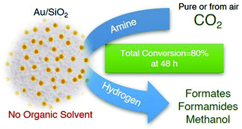 Graphical abstract: Catalytic hydrogenation of CO2 from air via porous silica-supported Au nanoparticles in aqueous solution