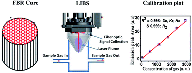 Graphical abstract: Feasibility study on application of laser induced breakdown spectroscopy for detection & identification of failed fuel pins and sodium–water reaction in fast reactors