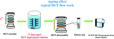 Graphical abstract: Evaluation of the effect of solution ageing on the DGT speciation of Rh and Pt