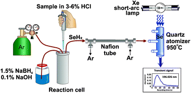 Graphical abstract: Determination of selenium in food and environmental samples by hydride generation high-resolution continuum source quartz furnace atomic absorption spectrometry