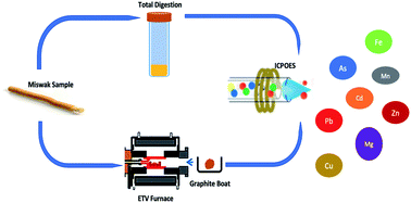 Graphical abstract: Direct multi-element analysis of natural toothbrush by electrothermal vaporization into inductively coupled plasma optical emission spectrometry