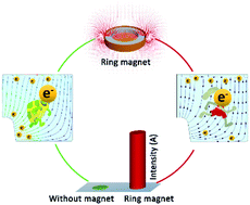 Graphical abstract: Magnetic enhancement for the analysis of scintillation crystals by radio frequency glow discharge mass spectrometry