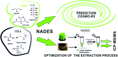 Graphical abstract: New solvents for metal extraction – NADES. Prediction and optimization of efficient extraction of selected metals by ICP-MS/MS
