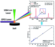 Graphical abstract: Determination of micronutrient elements in soil using laser-induced breakdown spectroscopy assisted by laser-induced fluorescence