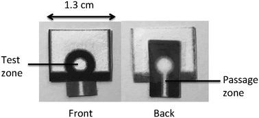 Graphical abstract: Paper-based human neutrophil elastase detection device for clinical wound monitoring