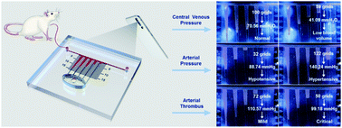 Graphical abstract: High-sensitivity microliter blood pressure sensors based on patterned micro-nanostructure arrays