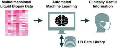 Graphical abstract: A web-based automated machine learning platform to analyze liquid biopsy data