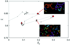 Graphical abstract: Quantitative analysis of phase topology evolution during three-phase displacements in porous media