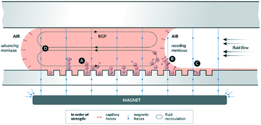 Graphical abstract: Digital enzyme-linked immunosorbent assays with sub-attomolar detection limits based on low numbers of capture beads combined with high efficiency bead analysis