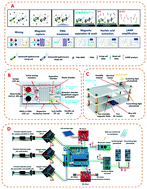 Graphical abstract: A lab-on-chip device for the sample-in-result-out detection of viable Salmonella using loop-mediated isothermal amplification and real-time turbidity monitoring