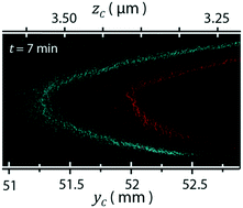 Graphical abstract: Variable-height channels for microparticle characterization and display