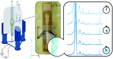Graphical abstract: An NMR-compatible microfluidic platform enabling in situ electrochemistry