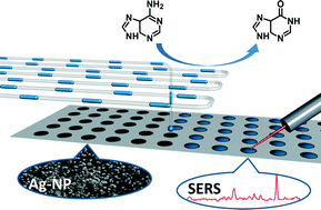 Graphical abstract: Novel SERS-based process analysis for label-free segmented flow screenings