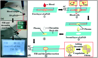 Graphical abstract: An integrated platform for fibrinogen quantification on a microfluidic paper-based analytical device
