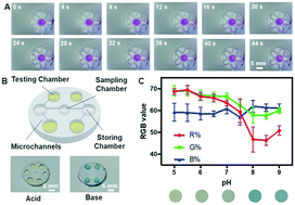 Graphical abstract: Microengineered poly(HEMA) hydrogels for wearable contact lens biosensing