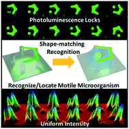 Graphical abstract: Recognition and location of motile microorganisms by shape-matching photoluminescence micropatterns