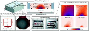Graphical abstract: Area cooling enables thermal positioning and manipulation of single cells
