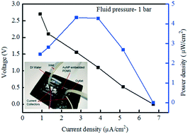 Graphical abstract: Gold-nanoparticle-embedded microchannel array for enhanced power generation