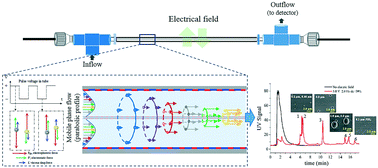 Graphical abstract: Open-tubular radially cyclical electric field-flow fractionation (OTR-CyElFFF): an online concentric distribution strategy for simultaneous separation of microparticles