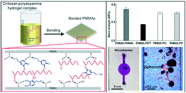 Graphical abstract: Chitosan–polydopamine hydrogel complex: a novel green adhesion agent for reversibly bonding thermoplastic microdevice and its application for cell-friendly microfluidic 3D cell culture