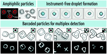 Graphical abstract: Fabrication of 3D concentric amphiphilic microparticles to form uniform nanoliter reaction volumes for amplified affinity assays