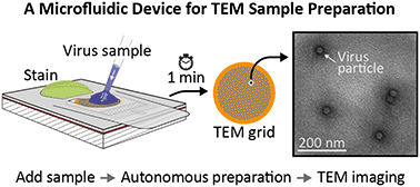 Graphical abstract: A microfluidic device for TEM sample preparation