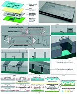 Graphical abstract: A microfluidic chip for screening high-producing hybridomas at single cell level