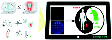 Graphical abstract: A semi-dry chemistry hydrogel-based smart biosensing platform for on-site detection of metal ions