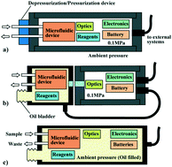 Graphical abstract: Lab-on-a-chip technology for in situ combined observations in oceanography