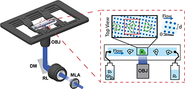 Graphical abstract: Super-resolution optofluidic scanning microscopy