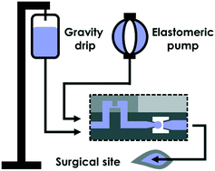Graphical abstract: Digital droplet infusion