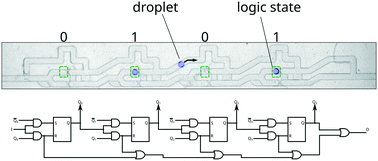 Graphical abstract: Integration of capillary–hydrodynamic logic circuitries for built-in control over multiple droplets in microfluidic networks