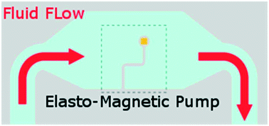 Graphical abstract: Microfluidic devices powered by integrated elasto-magnetic pumps