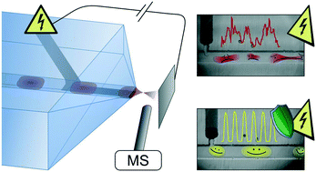 Graphical abstract: How electrospray potentials can disrupt droplet microfluidics and how to prevent this