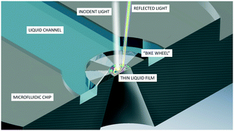 Graphical abstract: Microfluidic thin film pressure balance for the study of complex thin films