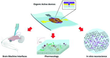 Graphical abstract: Interfacing cells with organic transistors: a review of in vitro and in vivo applications