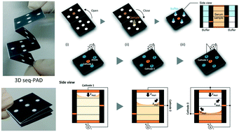 Graphical abstract: Origami paper-based sample preconcentration using sequentially driven ion concentration polarization