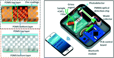 Graphical abstract: Rapid nitrate determination with a portable lab-on-chip device based on double microstructured assisted reactors