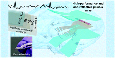 Graphical abstract: A fully transparent, flexible PEDOT:PSS–ITO–Ag–ITO based microelectrode array for ECoG recording