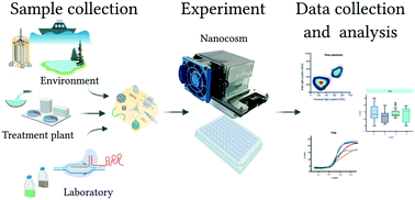 Graphical abstract: Nanocosm: a well plate photobioreactor for environmental and biotechnological studies