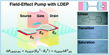 Graphical abstract: Field-effect pump: liquid dielectrophoresis along a virtual microchannel with source-gate-drain electric fields