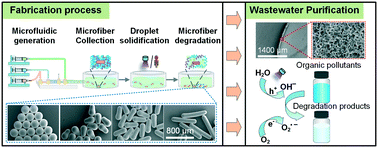 Graphical abstract: Continuous microfluidic fabrication of anisotropic microparticles for enhanced wastewater purification