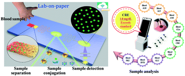 Graphical abstract: Recent advances in lab-on-paper diagnostic devices using blood samples