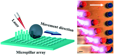 Graphical abstract: A digital microfluidic platform based on a near-infrared light-responsive shape-memory micropillar array